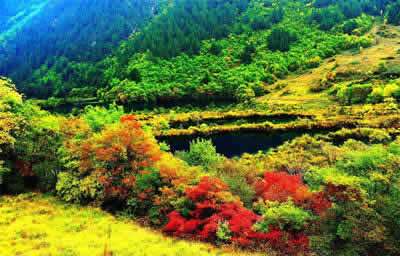 Real jiuzhaigou